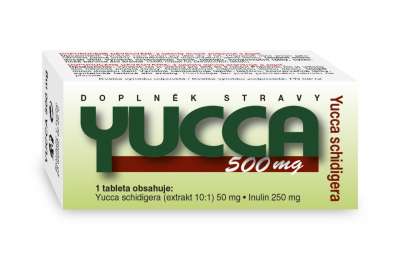 NATURVITA YUCCA 500mg tbl.60